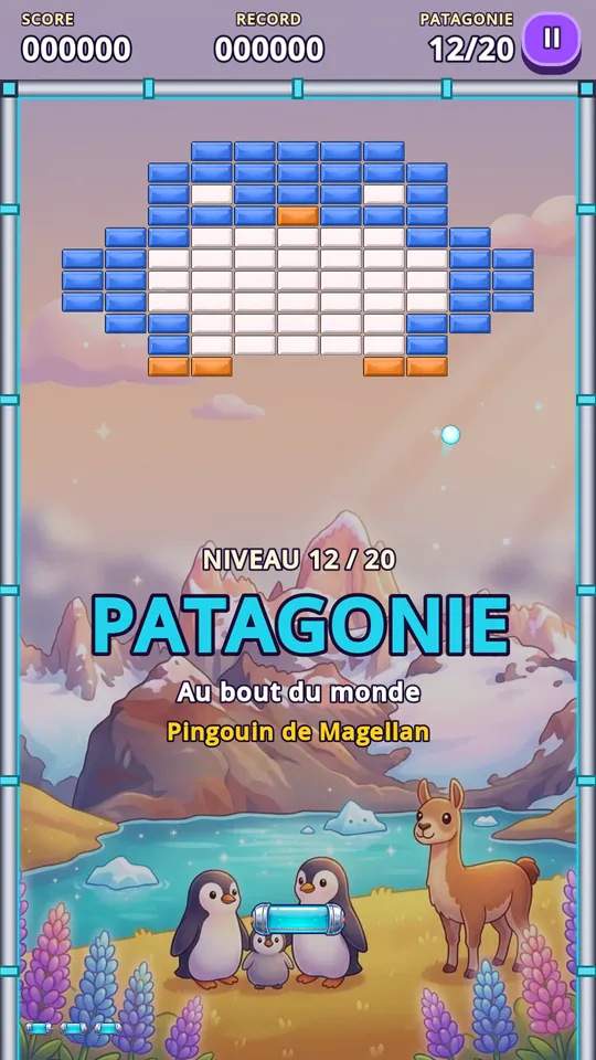 Nivel de la Patagonia con un pingüino de ladrillos