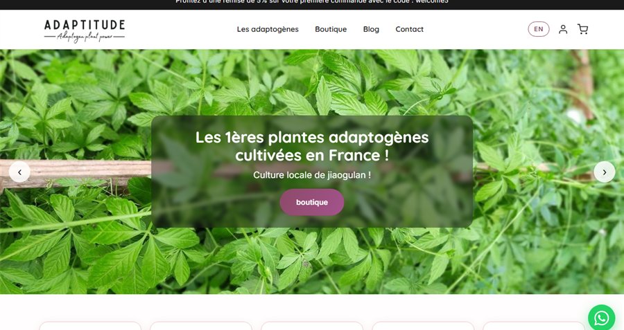 Adaptitude France - .NET Core, E-commerce, Blog, Bilingue FR/EN